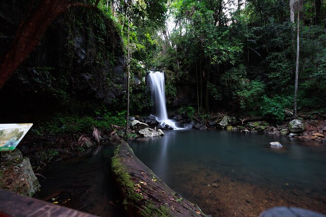 Evening Rainforest & Glow Worm Tour from Gold Coast - Who will enjoy this night tour?