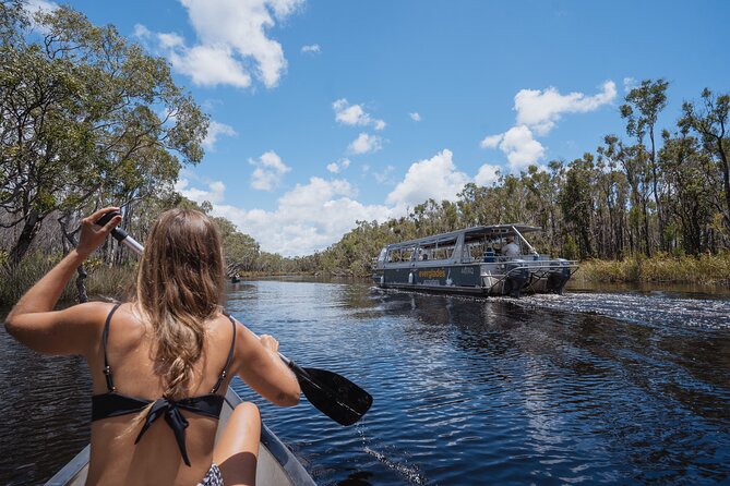 Everglades Explorer - Noosa Everglades Tour - Why the Noosa Everglades feel different