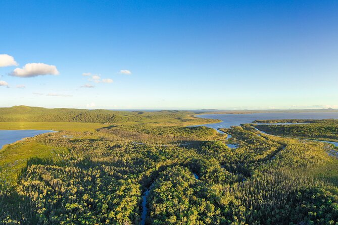 Everglades Explorer - Noosa Everglades Tour - The River of Mirrors by canoe