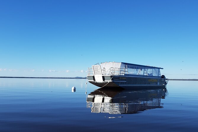 Everglades Explorer - Noosa Everglades Tour - Returning to Habitat Noosa