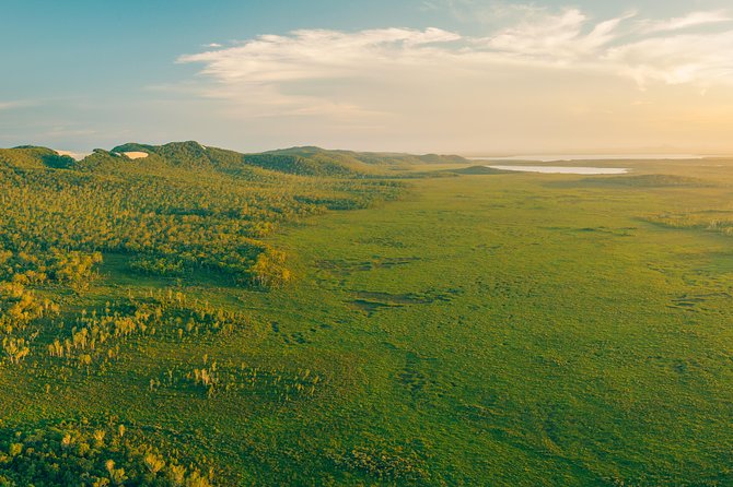 Everglades Explorer - Noosa Everglades Tour - What the wildlife experience is really like