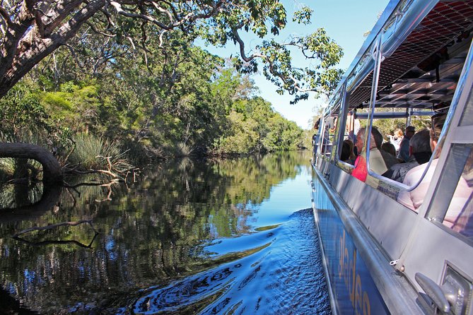 Everglades Explorer - Noosa Everglades Tour - Who will enjoy this tour most?