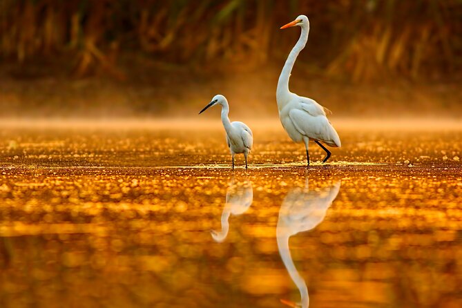 Everglades Explorer - Noosa Everglades Tour - Starting across Lake Cootharaba at 8:45