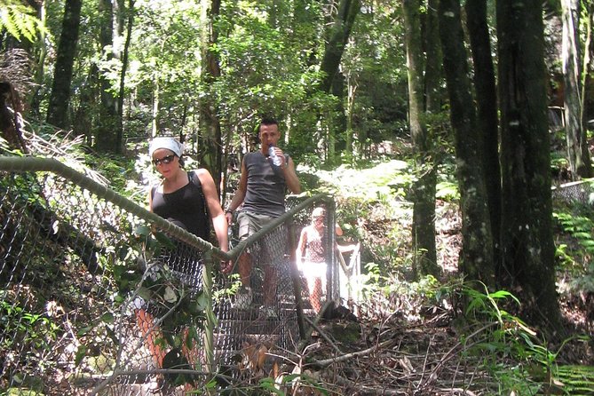 Exclusive Blue Mountains Wildlife and Bushwalk Tour From Sydney - Guides make the difference
