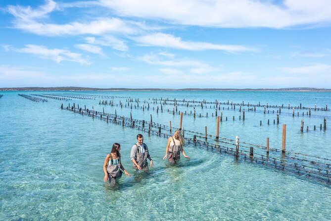 Experience Coffin Bay Oyster Farm and Bay Tour - Why this Coffin Bay tour feels different