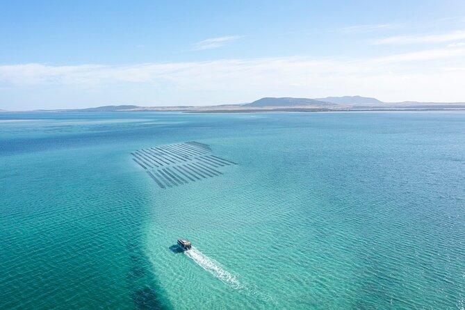 Experience Coffin Bay Oyster Farm and Bay Tour - Riding out to the oyster leases