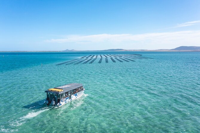 Experience Coffin Bay Oyster Farm and Bay Tour - Getting into waders and among the baskets