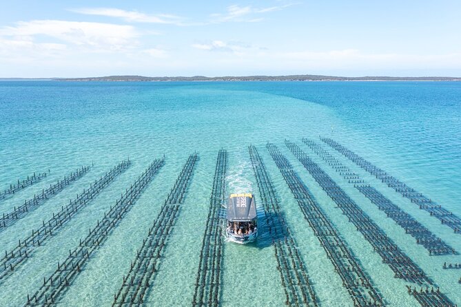 Experience Coffin Bay Oyster Farm and Bay Tour - A licensed boat and an optional drink