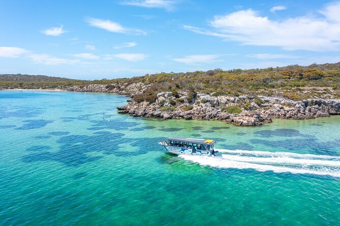 Experience Coffin Bay Oyster Farm and Bay Tour - Cruising beside Coffin Bay National Park