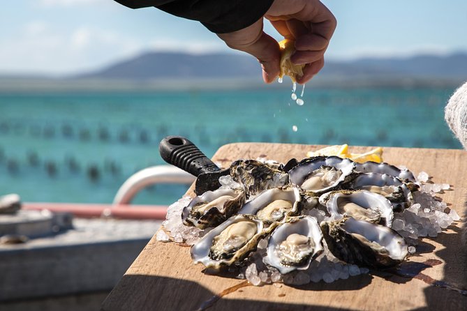 Experience Coffin Bay Oyster Farm and Bay Tour - The Brothers islands and local wildlife