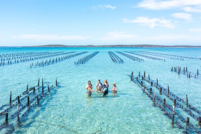 Experience Coffin Bay Oyster Farm and Bay Tour - Starting at the Coffin Bay Yacht Club Jetty