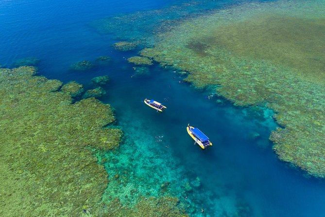 Fly Raft Package: Whitehaven Beach, Snorkel and Scenic Flight - Lunch on the beach