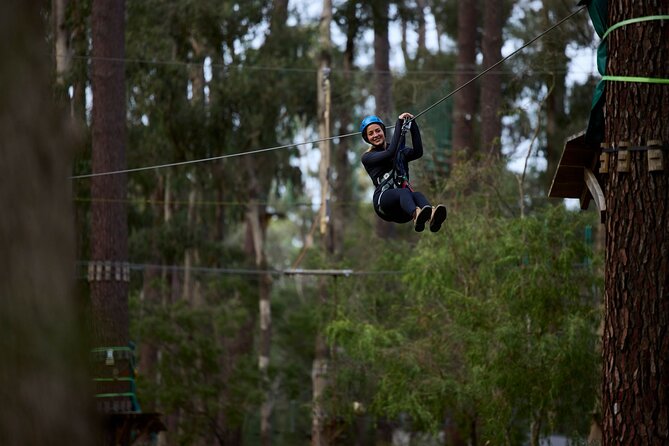Forest Adventures - Key points at a glance