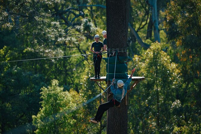 Forest Adventures - Six courses with room to progress