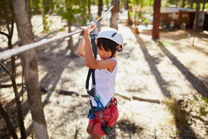 Forest Adventures - Flying foxes, including one longer than 150 metres
