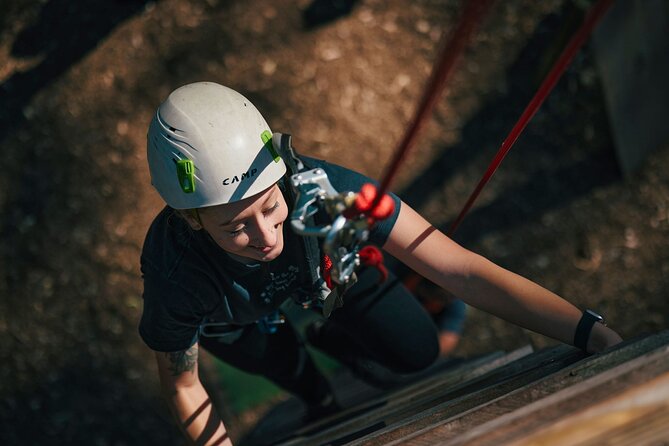 Forest Adventures - What the course feels like for families