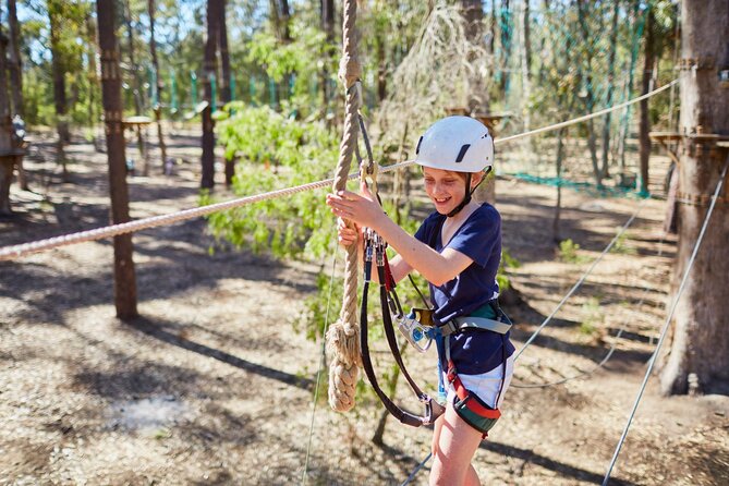 Forest Adventures - Team-building without a conference room