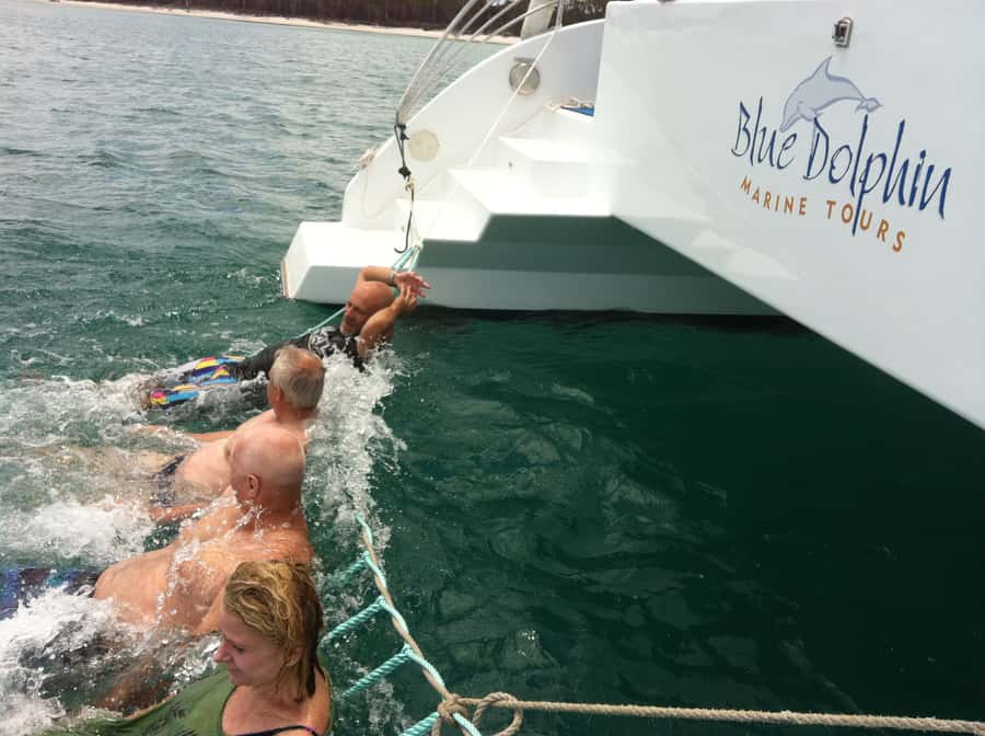 Fraser Island 4-Hour Eco-Sailing Adventure - Should you book it?
