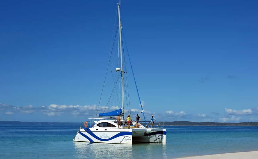 Fraser Island 4-Hour Eco-Sailing Adventure - Four hours along Fraser Island’s western shore