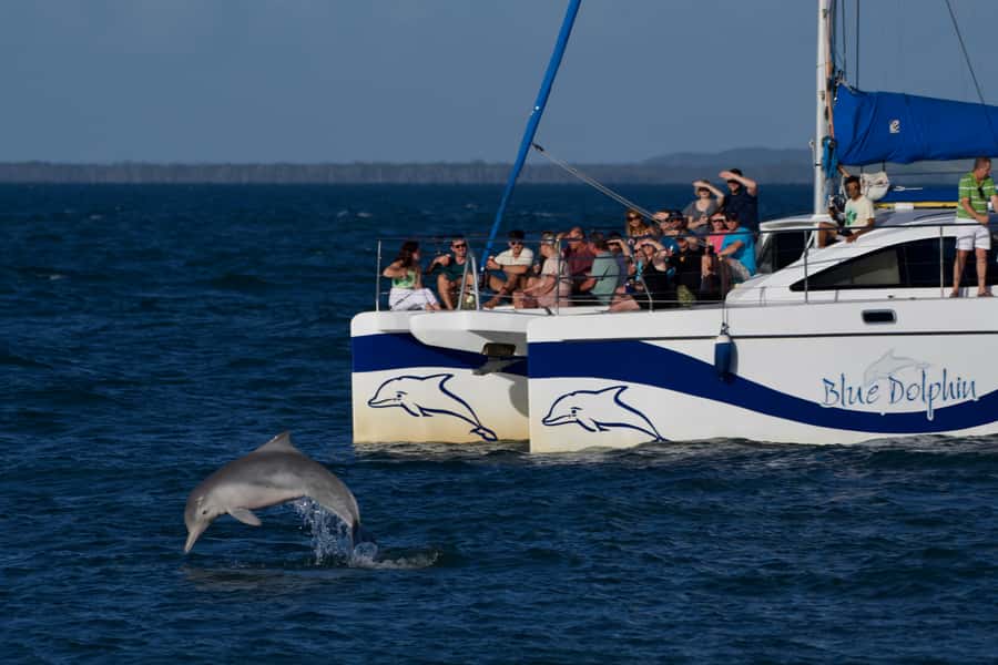 Fraser Island 4-Hour Eco-Sailing Adventure - AquaMat balance tests and the boom net