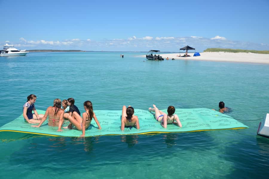 Fraser Island 4-Hour Eco-Sailing Adventure - Searching the Great Sandy Strait for dolphins