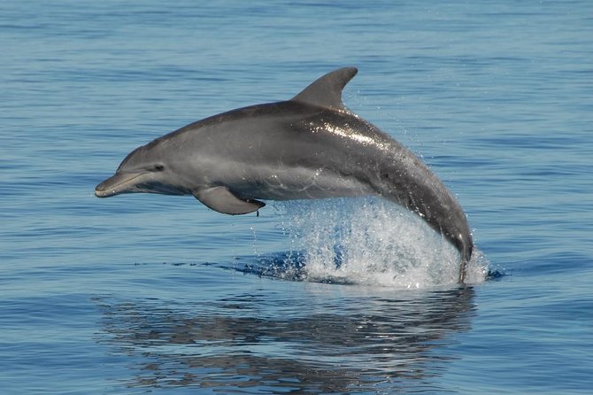 Fraser Island & Dolphin Sailing Adventure - Leaving Hervey Bay at 8:30 a.m.