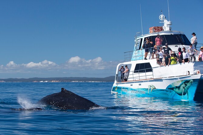 Fraser Island & Dolphin Sailing Adventure - Reaching K’gari and the western shore