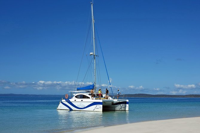 Fraser Island & Dolphin Sailing Adventure - Swimming and the boom net