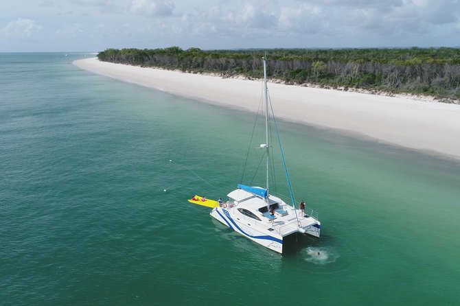 Fraser Island & Dolphin Sailing Adventure - Why the $78.90 price can be good value