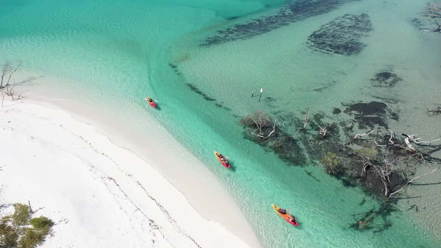 Fraser Island (K'gari): Remote Island and Whale Experience - Who will get the most from this tour?