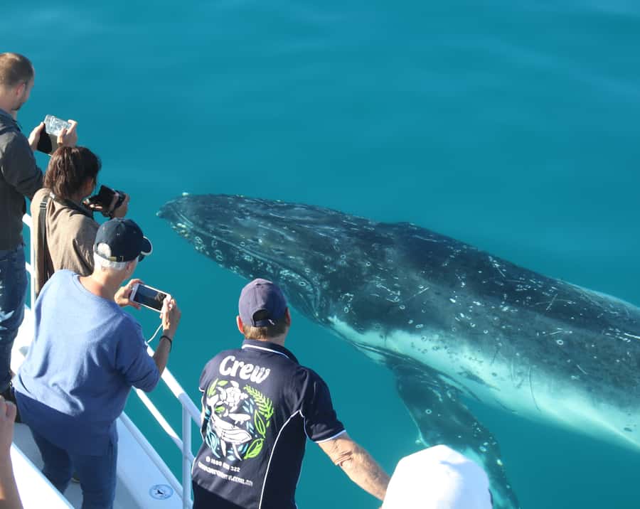 Fraser Island (K'gari): Remote Island and Whale Experience - Awinya or Bowarrady Creek for the second act