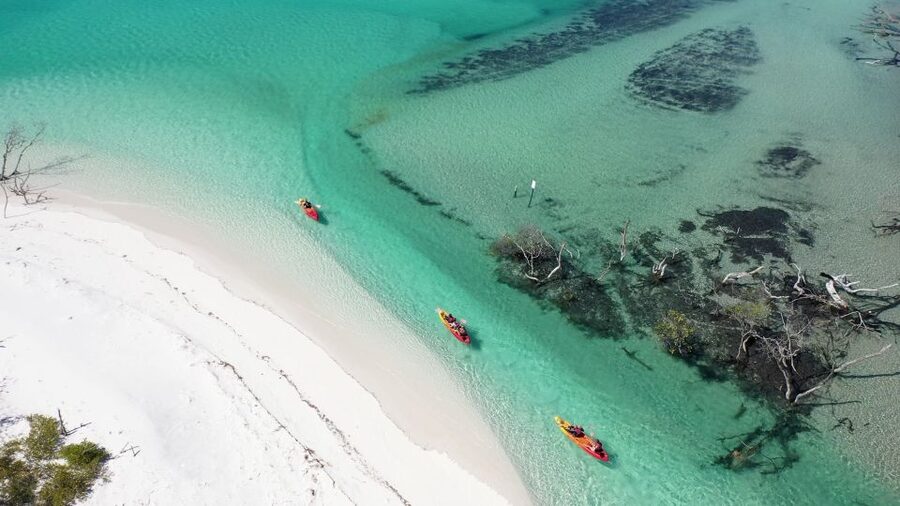 Fraser Island (K'gari): Remote Island and Whale Experience - The whale encounter: thrilling, careful, and never promised