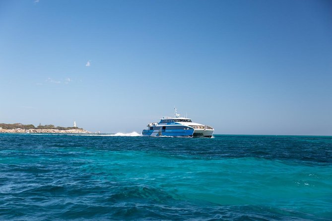 Fremantle to Rottnest Island Roundtrip Ferry Ticket - Why Rottnest works so well as a day trip