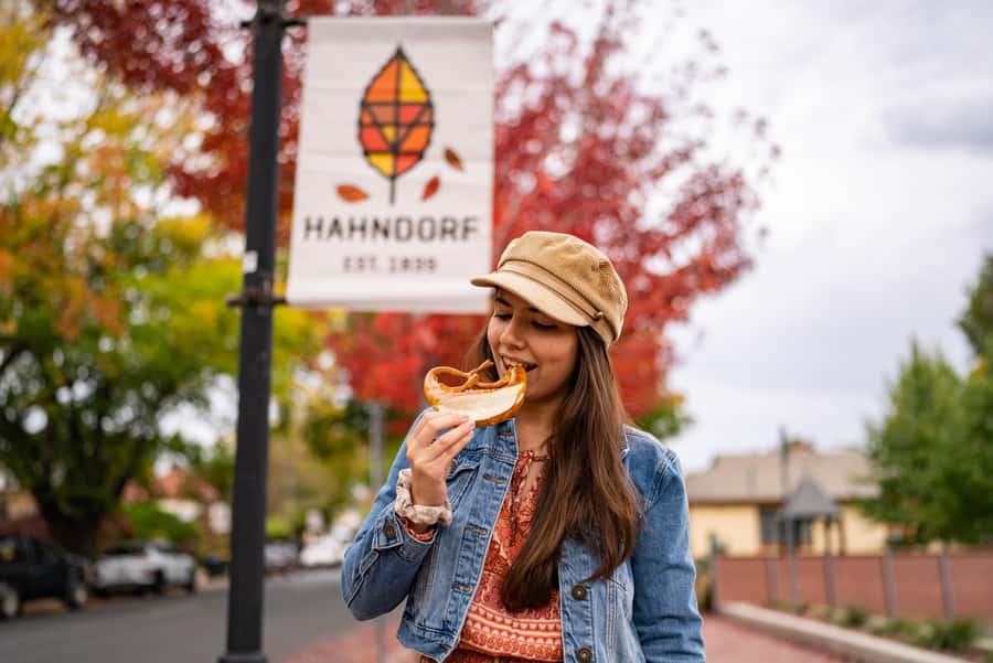 From Adelaide: Adelaide Hills, Hahndorf & Mount Lofty Tour - Who will enjoy this half-day outing