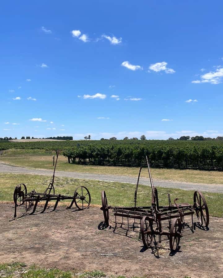 From Adelaide: Barossa to Hahndorf Wine Tasting and Lunch - Practical tips for a smoother day