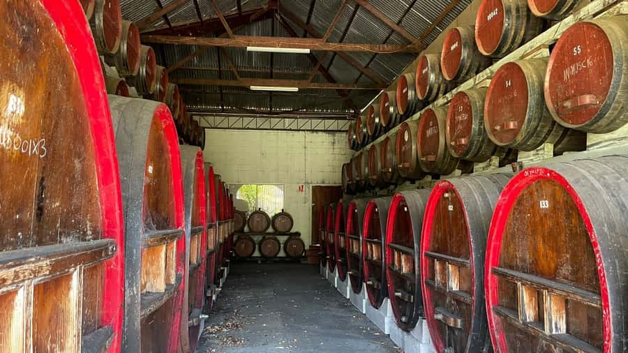 From Adelaide: Barossa to Hahndorf Wine Tasting and Lunch - Lunch and wine at Kies Family Wines