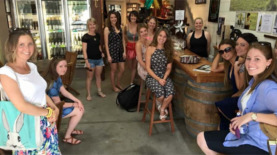 From Adelaide: Barossa to Hahndorf Wine Tasting and Lunch - The guide and vehicle can shape the day