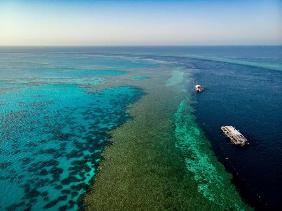 From Airlie Beach: Great Barrier Reef Adventure Cruise - From Airlie Beach to Hardy Reef