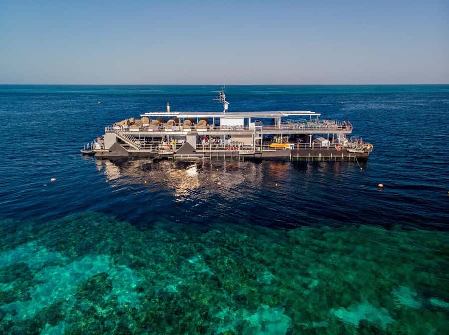From Airlie Beach: Great Barrier Reef Adventure Cruise - Snorkeling at Hardy Reef