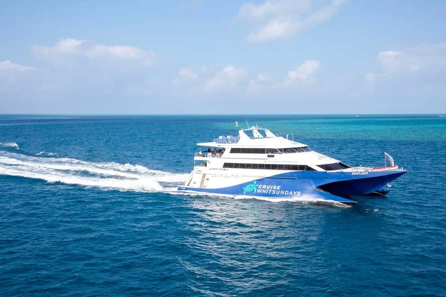 From Airlie Beach: Great Barrier Reef Adventure Cruise - Lunch, tea, and life on the pontoon