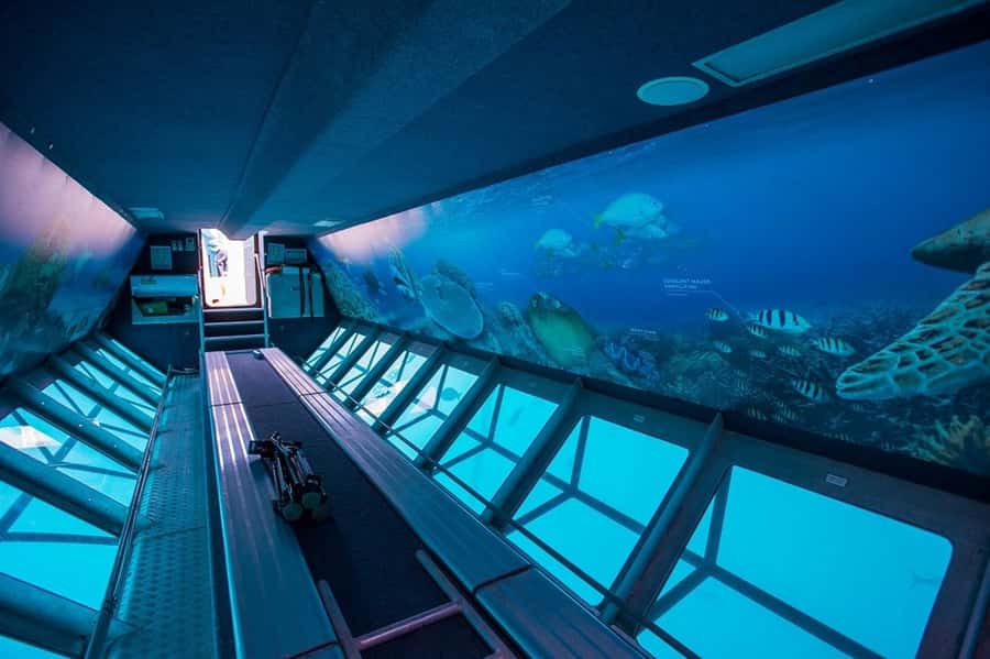 From Airlie Beach: Great Barrier Reef Adventure Cruise - Who will enjoy this reef cruise most