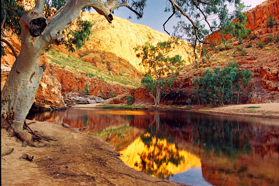 From Alice Springs: West MacDonnell Ranges Day Trip - The Ochre Pits explain the colours around you