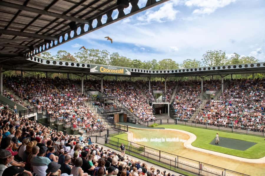 From Brisbane: Australia Zoo Transfer and Entry Ticket - The one-hour ride north