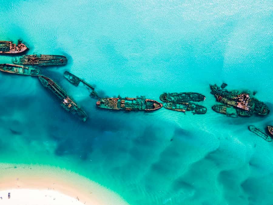 From Brisbane: Moreton Island Full-Day Trip - Why This Moreton Island Day Trip Works