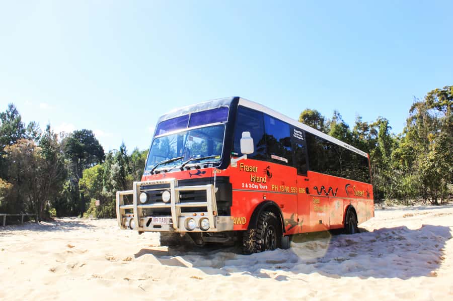 From Brisbane: Moreton Island Full-Day Trip - The Schedule Is Fun, But It Moves Fast