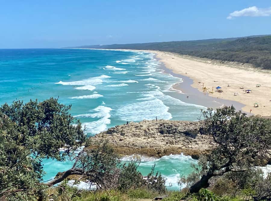 From Brisbane: North Stradbroke Island Wildlife Adventure - Five things worth knowing before you book