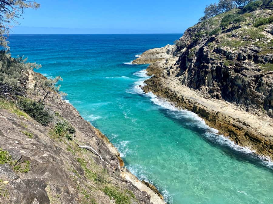 From Brisbane: North Stradbroke Island Wildlife Adventure - Why North Stradbroke Island makes a strong day trip