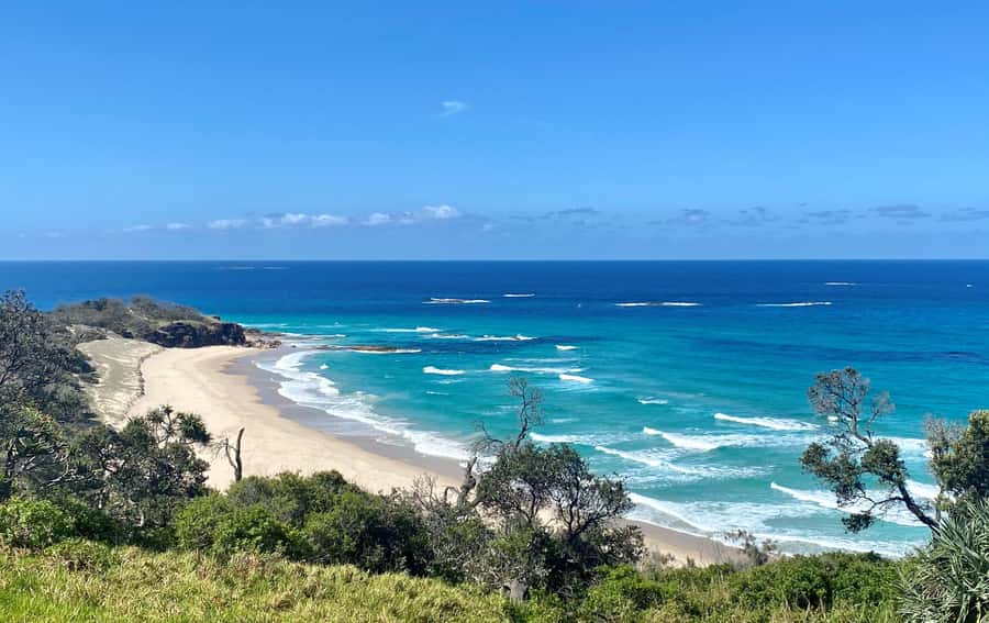 From Brisbane: North Stradbroke Island Wildlife Adventure - The morning crossing: Brisbane to the island
