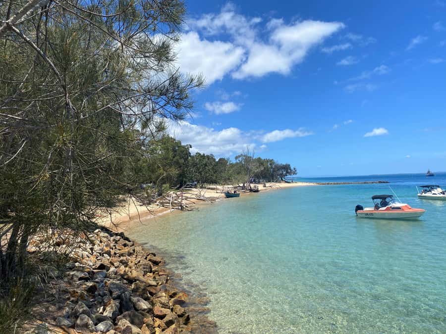 From Brisbane: North Stradbroke Island Wildlife Adventure - Point Lookout: lunch with a view