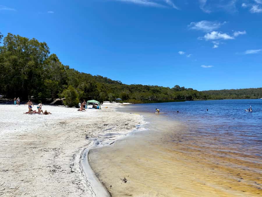 From Brisbane: North Stradbroke Island Wildlife Adventure - Weather, walking, and what the day really feels like
